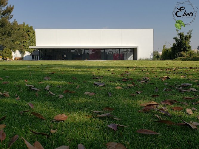 Elinés Loft & Jardín, salón de eventos en Irapuato
